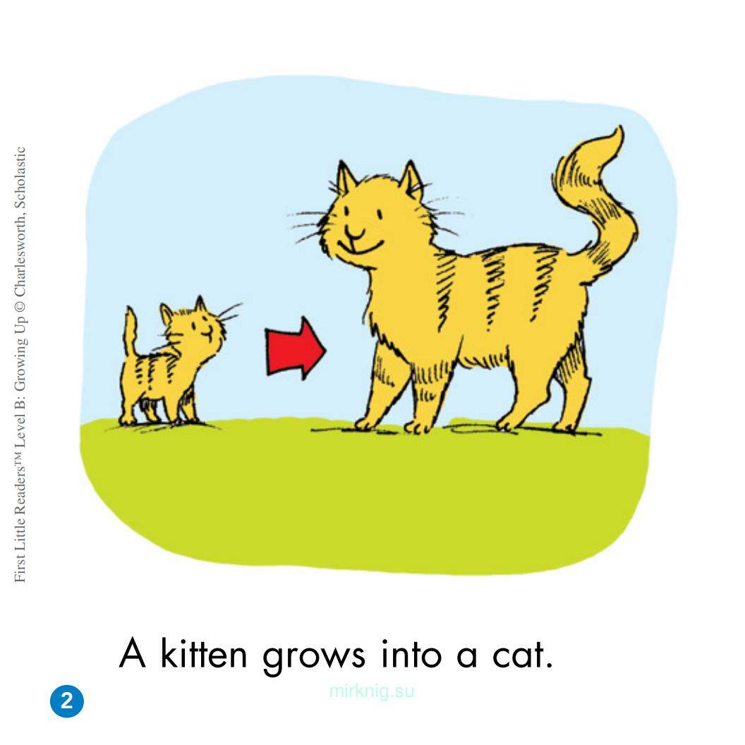 Growing Up绘本故事第3页