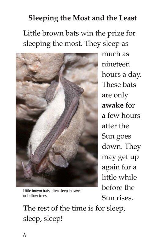 How Animals Sleep绘本故事第5页
