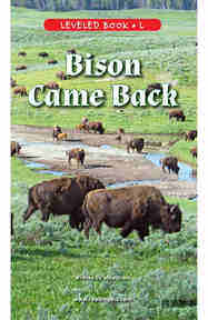 Bison Came Back