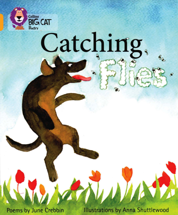 Catching Flies绘本故事第2页