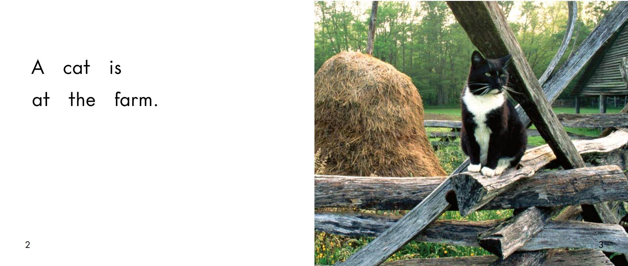 At the farm绘本故事第3页