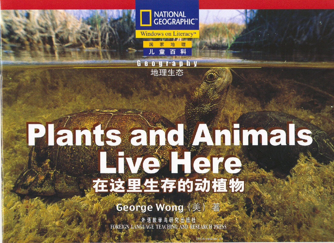 Plants and Animals Live Here绘本故事第2页