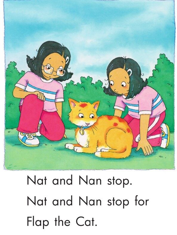 A Home for Fap绘本故事第4页