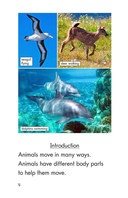 Legs,Wings,Fins,and Flippers绘本故事第3页