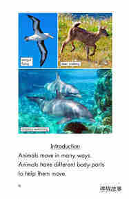 Legs,Wings,Fins,and Flippers绘本故事第3页