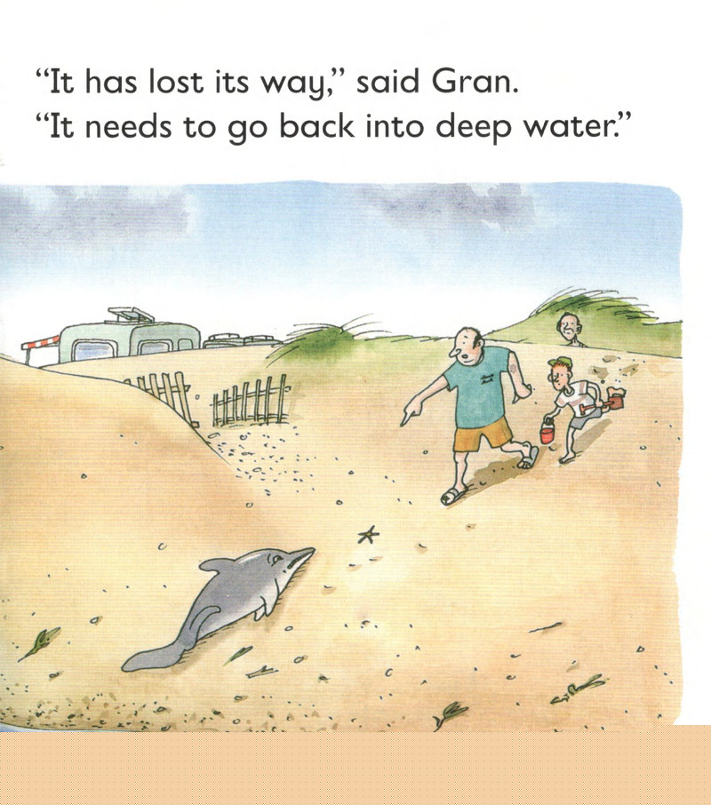 L4 Dolphin Rescue绘本故事第5页