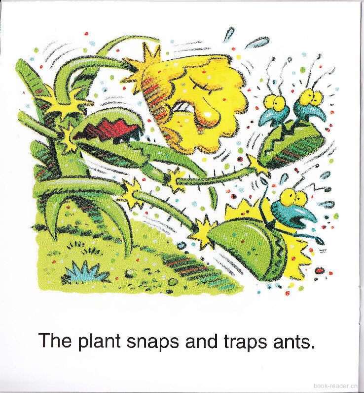 The Plant绘本故事第5页