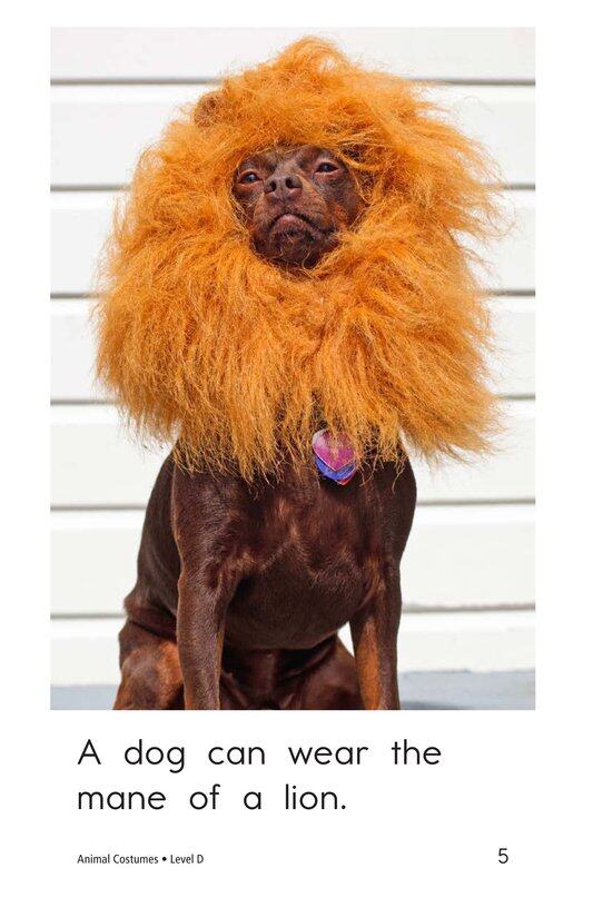 Animal Costumes绘本故事第5页
