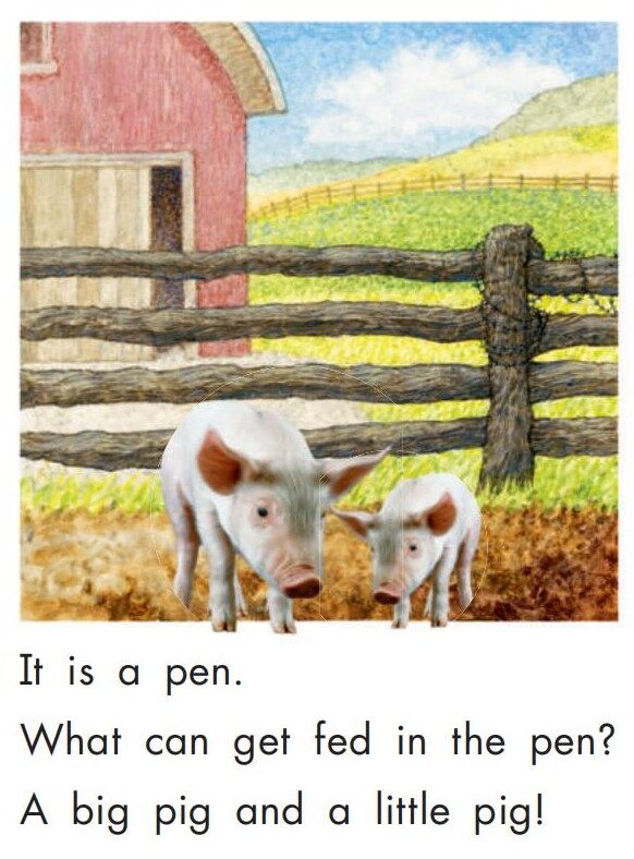 Animals at Home绘本故事第4页