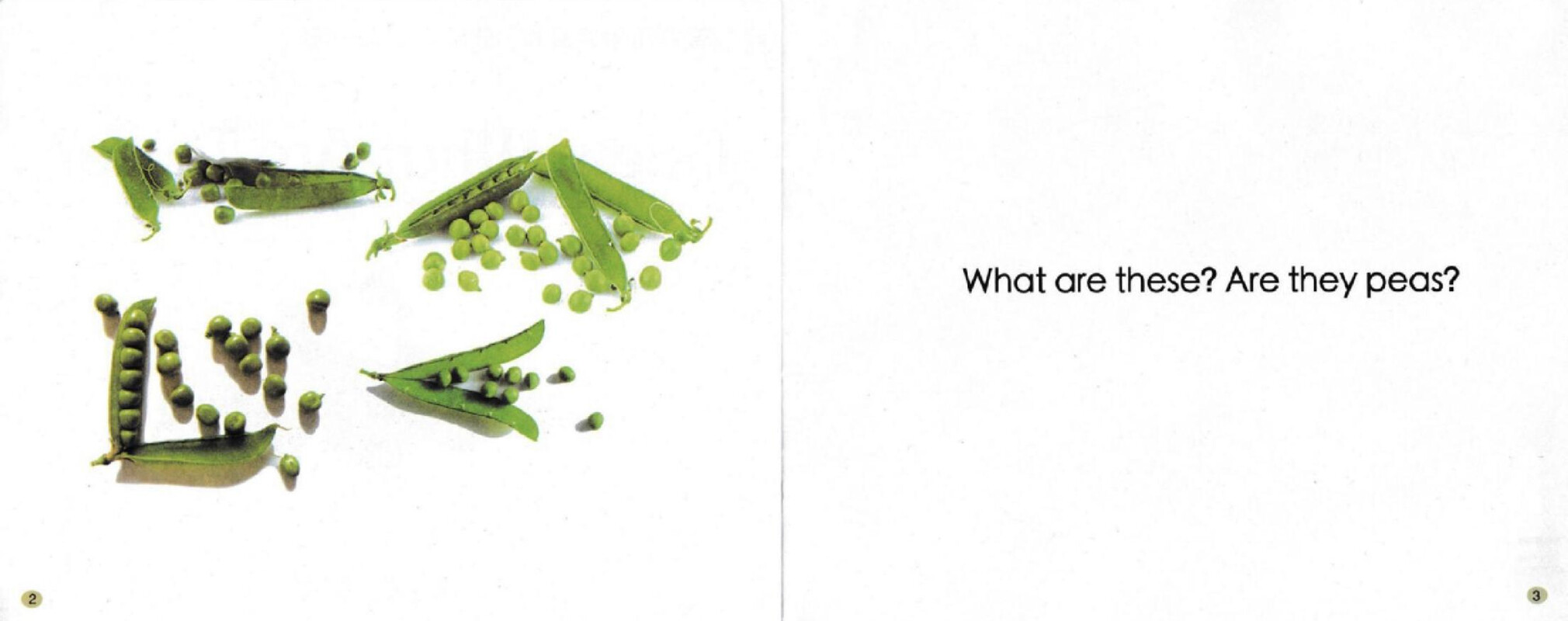 Guess What Are These绘本故事第3页