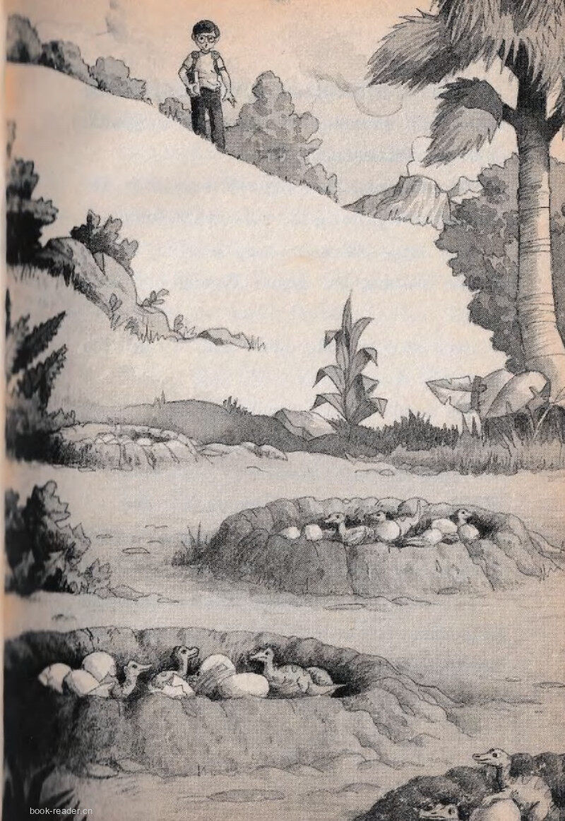 06 Dinosaur Valley绘本故事第4页