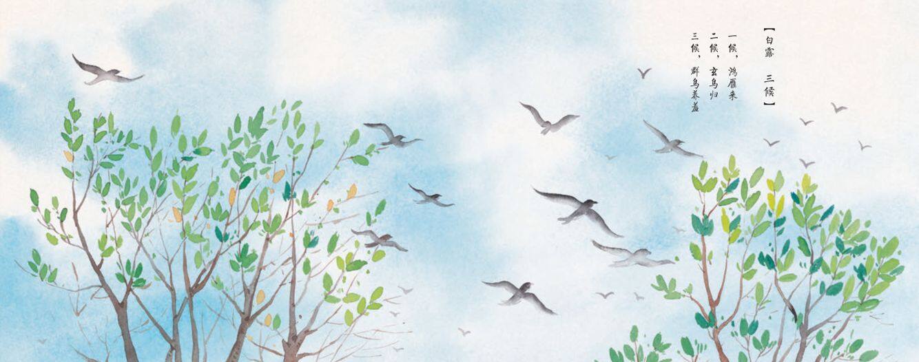 白露·候鸟飞绘本故事第3页