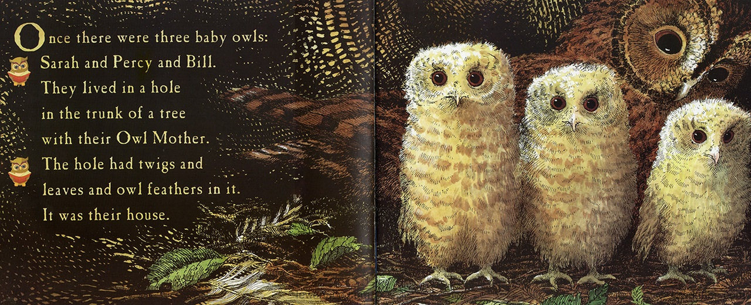 (43周)Owl Babies 绘本故事第3页