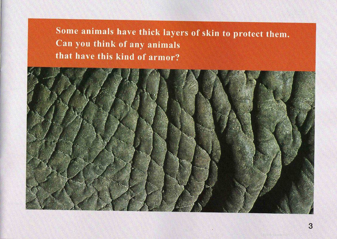 Animal Armor绘本故事第4页