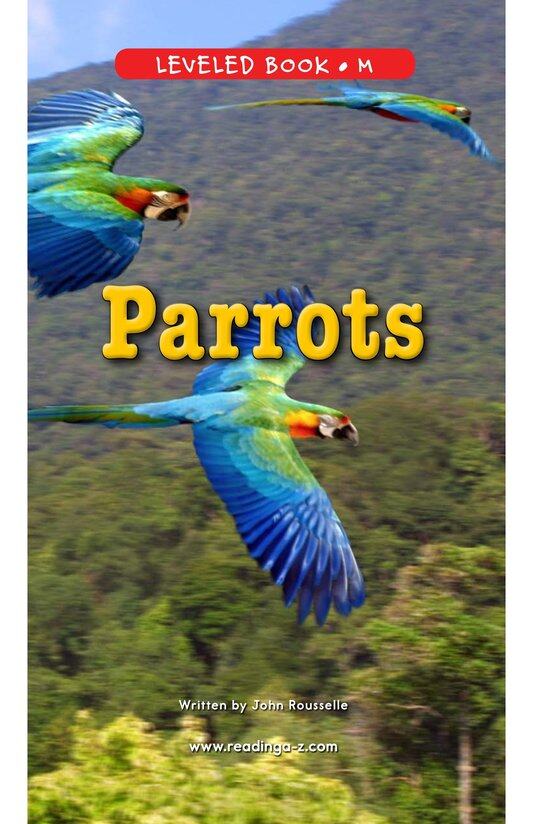 Parrots绘本故事第2页
