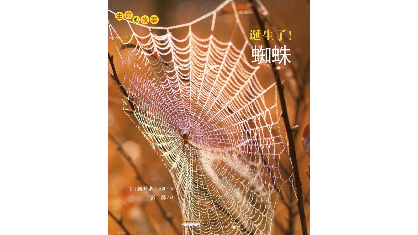 诞生了！蜘蛛绘本故事第2页