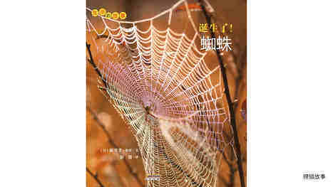 诞生了！蜘蛛绘本故事第2页