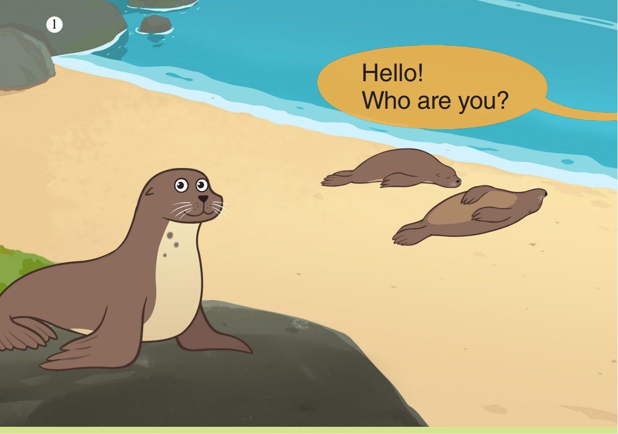 Sea Lion绘本故事第2页