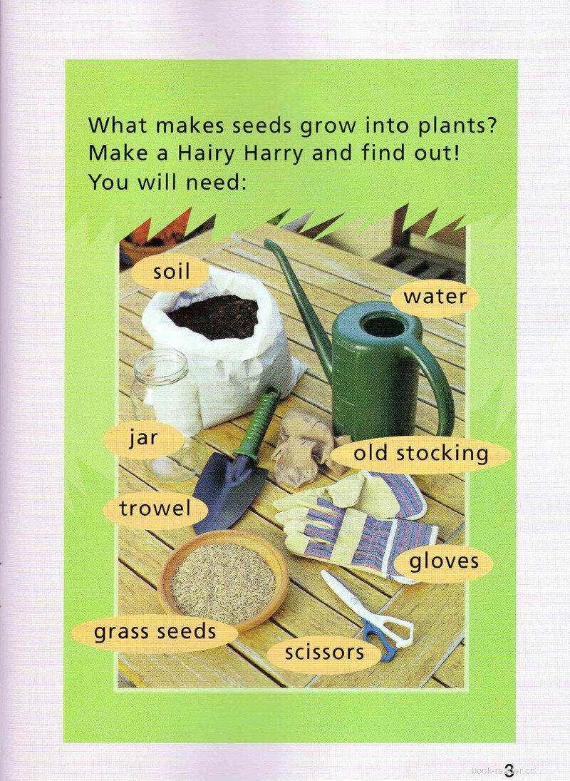 Hairy Harry绘本故事第4页