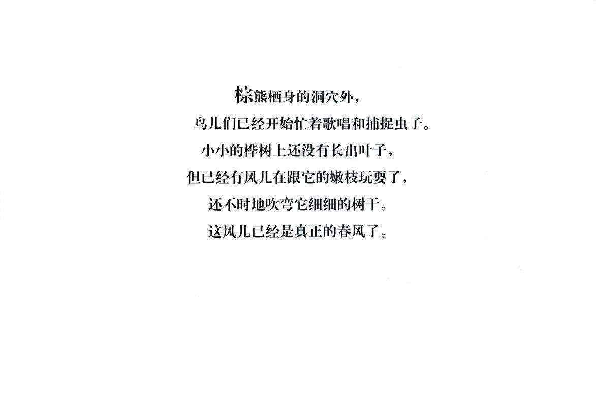 棕熊的神奇事绘本故事第2页