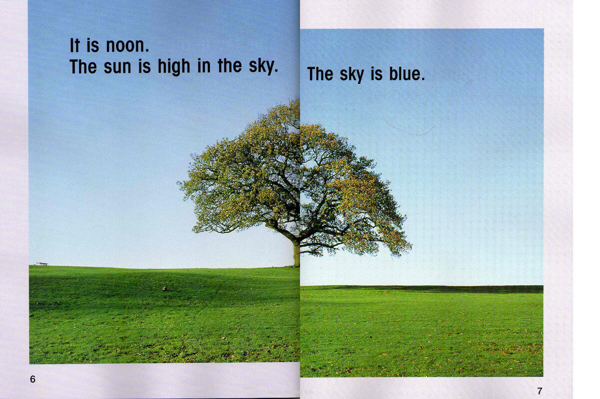 What Color Is the Sky绘本故事第5页