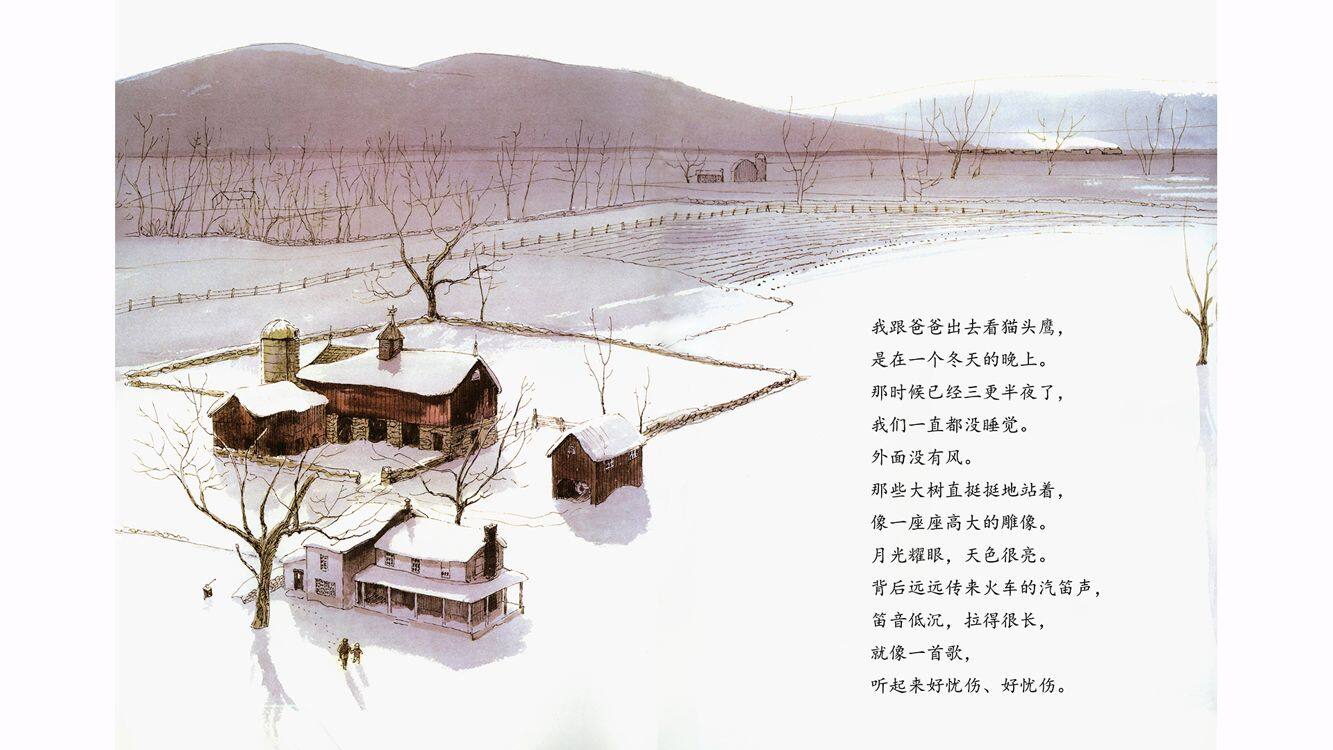 月下看猫头鹰绘本故事第3页