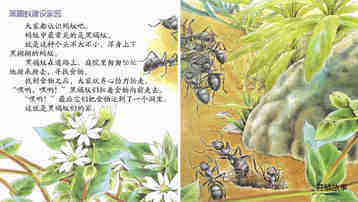 地下王国统治者蚂蚁绘本故事第4页