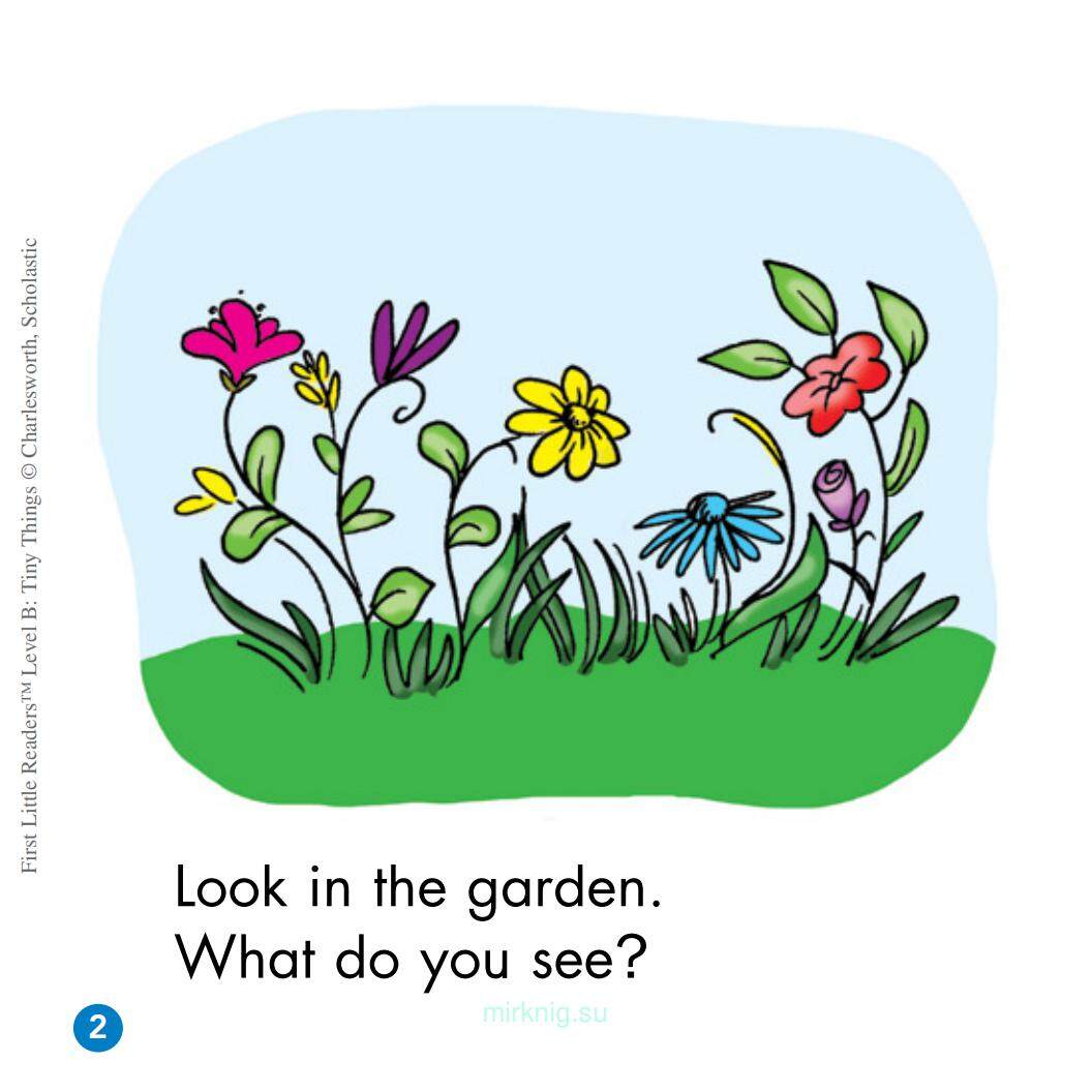 Tiny Things绘本故事第3页