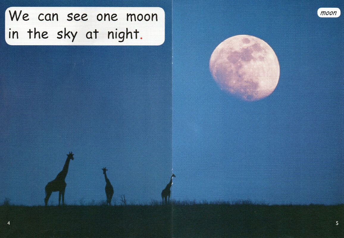 what is in the sky绘本故事第4页