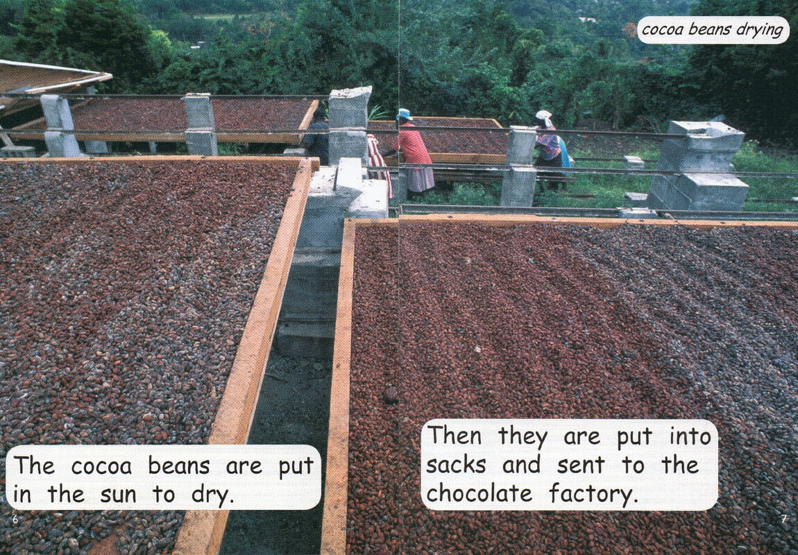 the chocolate  factory绘本故事第5页