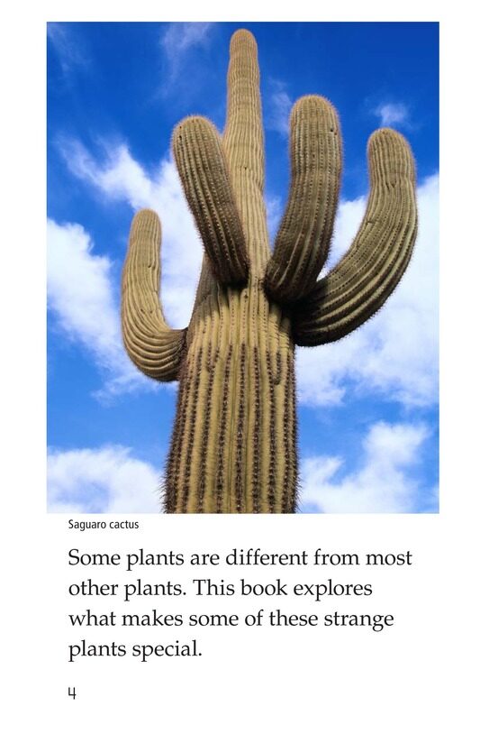 Strange Plants绘本故事第4页