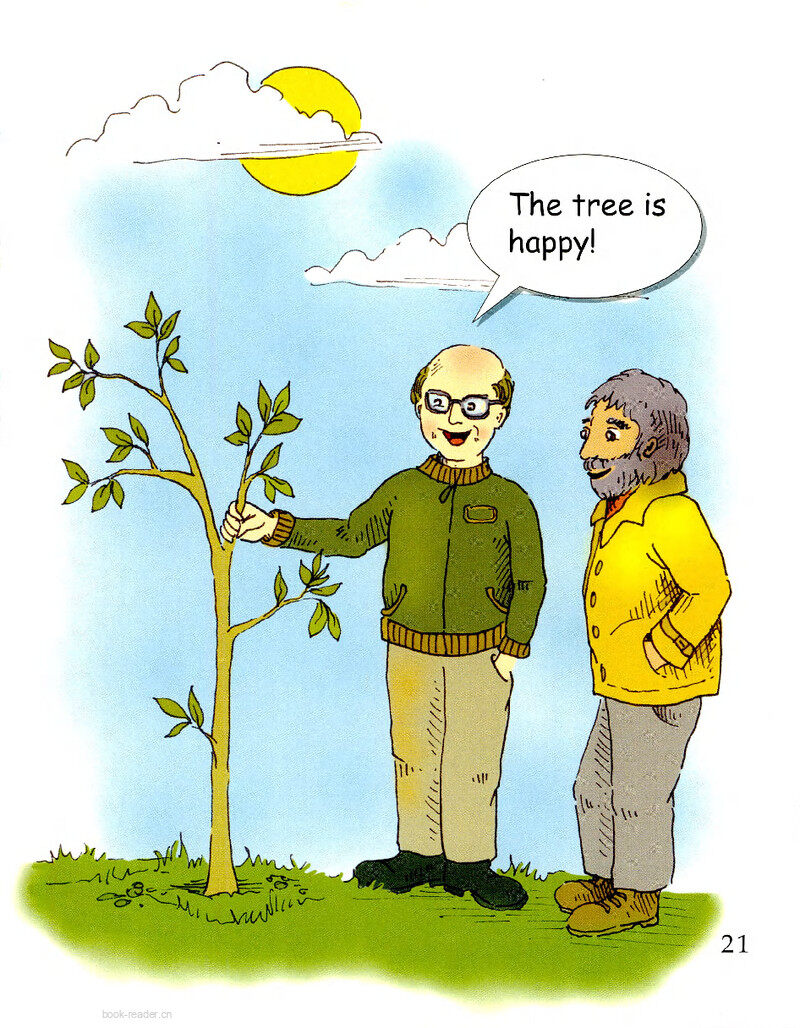 Mr.Fox and the Tree绘本故事第3页