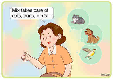 The Vet's Office绘本故事第4页