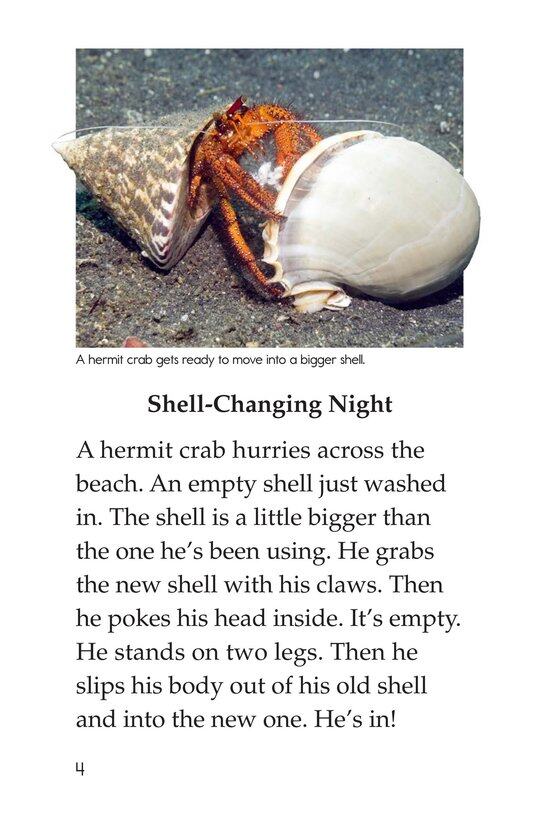 Hermit Crabs绘本故事第3页