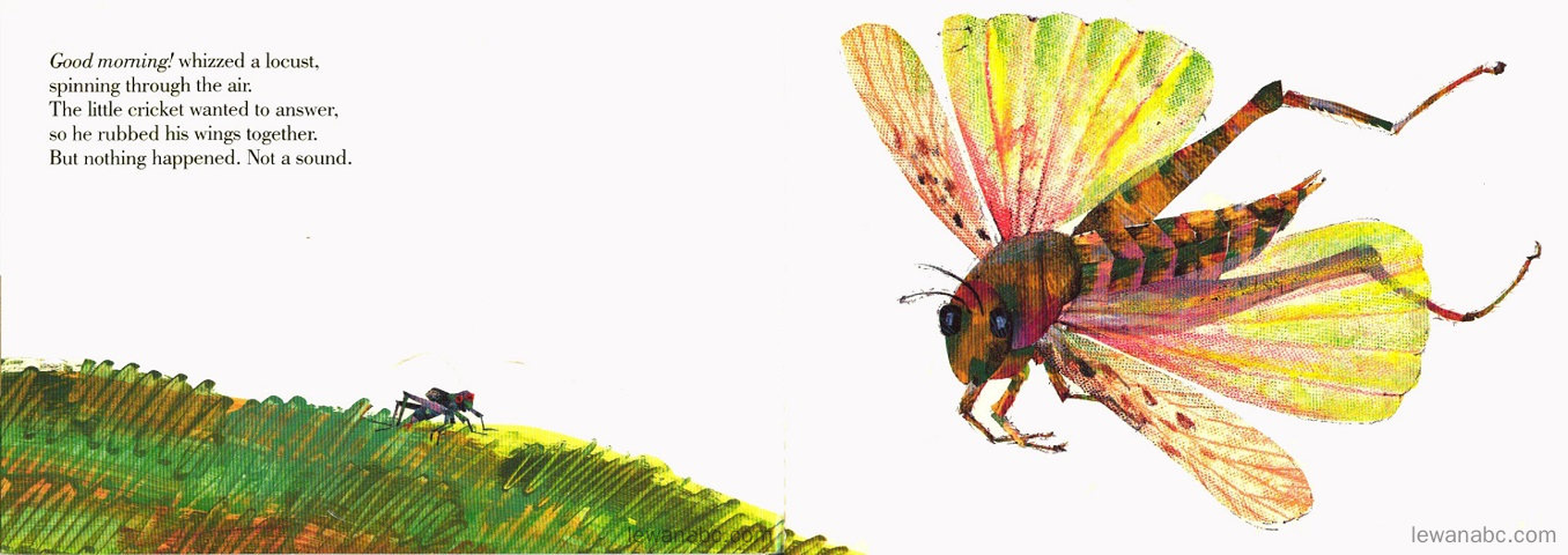 (21周)The Very Quiet Cricket绘本故事第4页