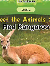 Red Kangaroo