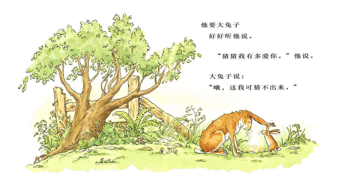 猜猜我有多爱你绘本故事第3页