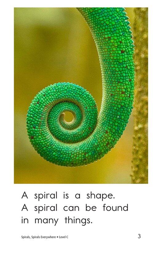 Spirals,Spirals Everywhere绘本故事第3页