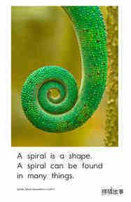 Spirals,Spirals Everywhere绘本故事第3页