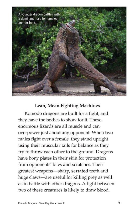 Komodo Dragons Giant Reptiles绘本故事第4页