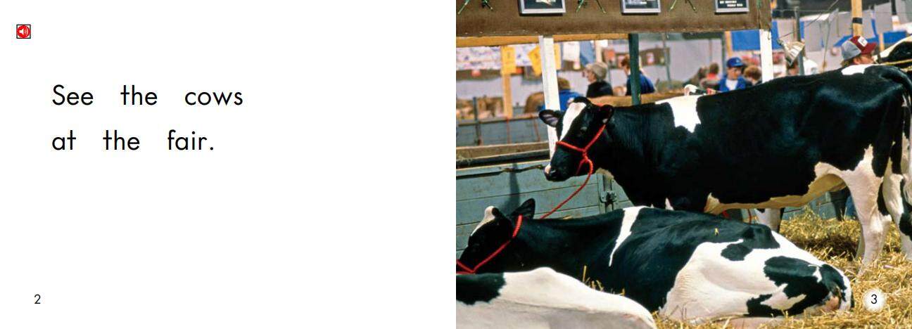 At the Fair绘本故事第3页