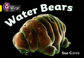 Water Bears