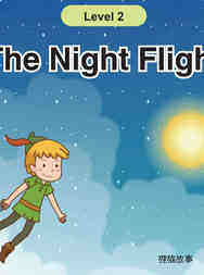 The Night Flight