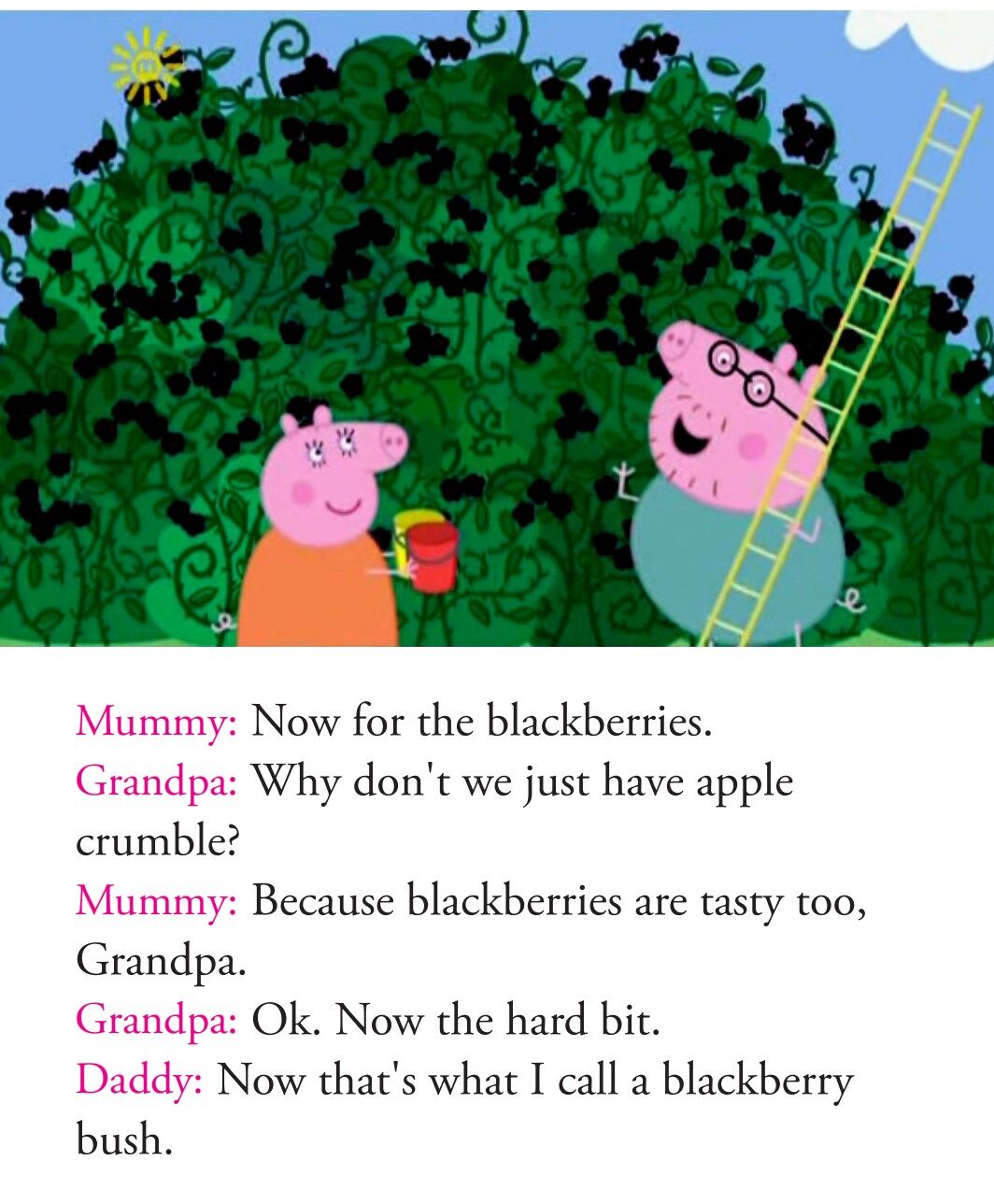 The Blackberry Bush绘本故事第5页