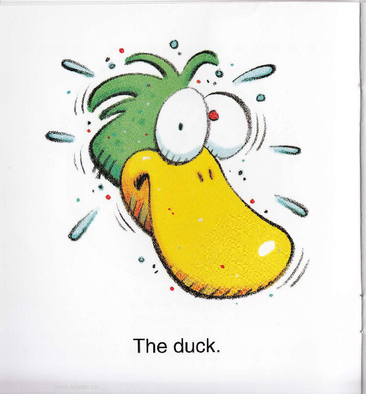 Stuck Duck绘本故事第3页