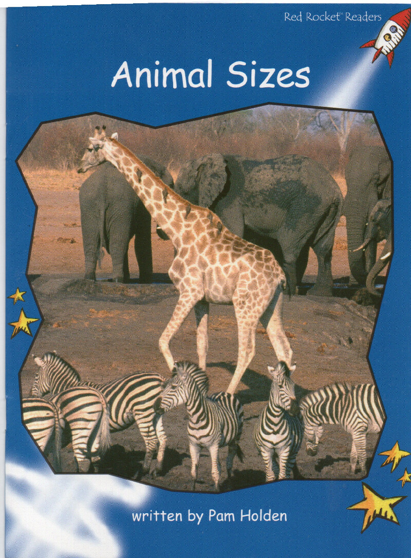 animal sizes绘本故事第2页