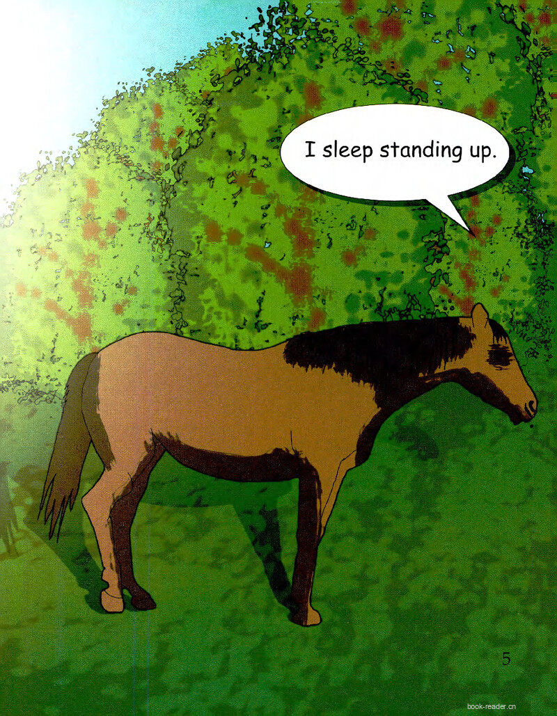 Sleeping Horses绘本故事第3页