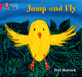 Jump and Fly