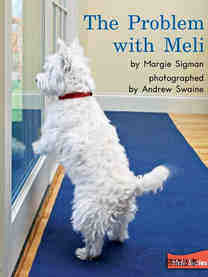 The Problem with Meli