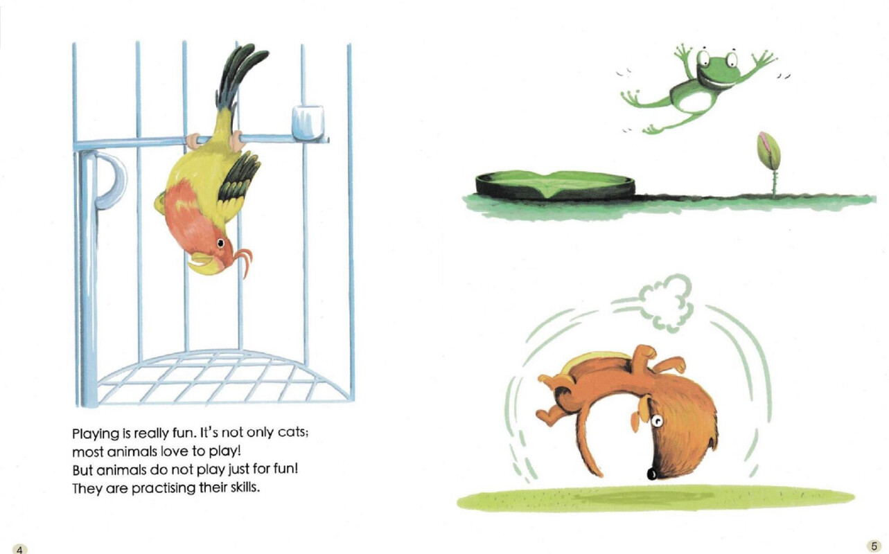 Animals Love to Play绘本故事第4页